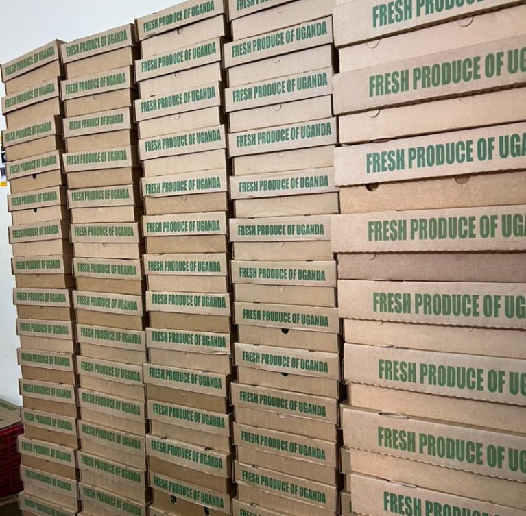 Carefully cultivated under ideal conditions and harvested at peak maturity, our products reflect an uncompromising commitment to quality, craftsmanship, and distinction.