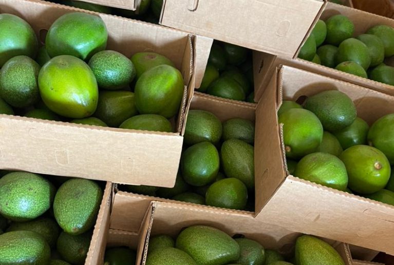 We grow fresh, organic produce using clean methods that protect nature, healthy food.