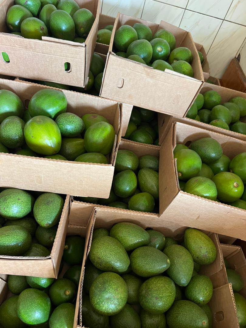 We grow fresh, organic produce using clean methods that protect nature, healthy food.